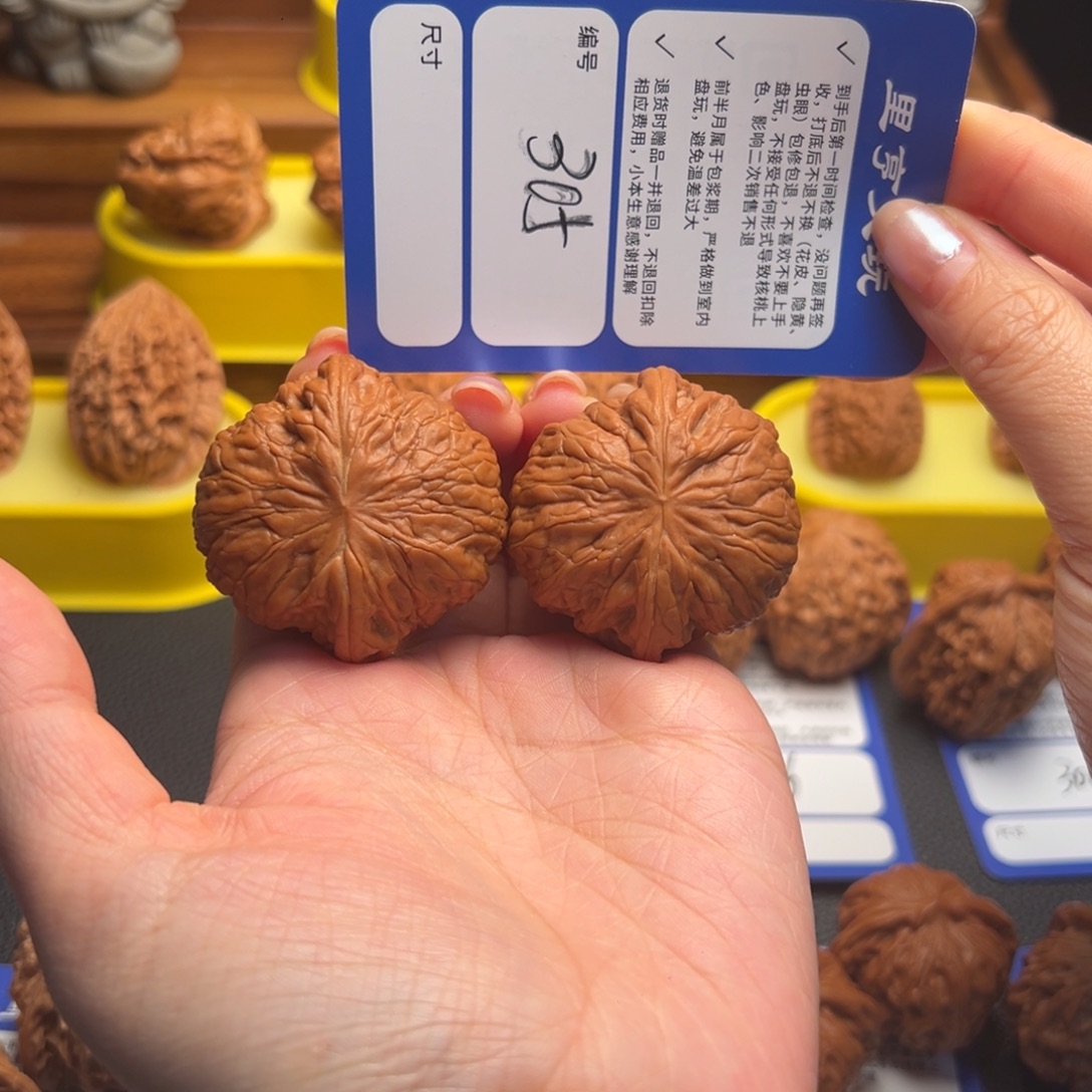 核桃305全品铁锤妹妹43尺