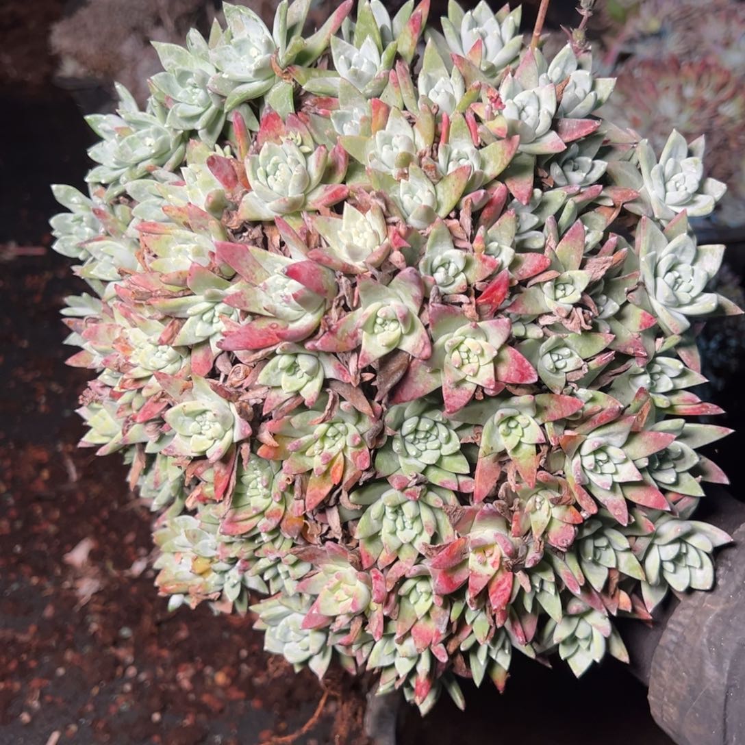 8577哈哈哈哈哈哈哈哈哈 