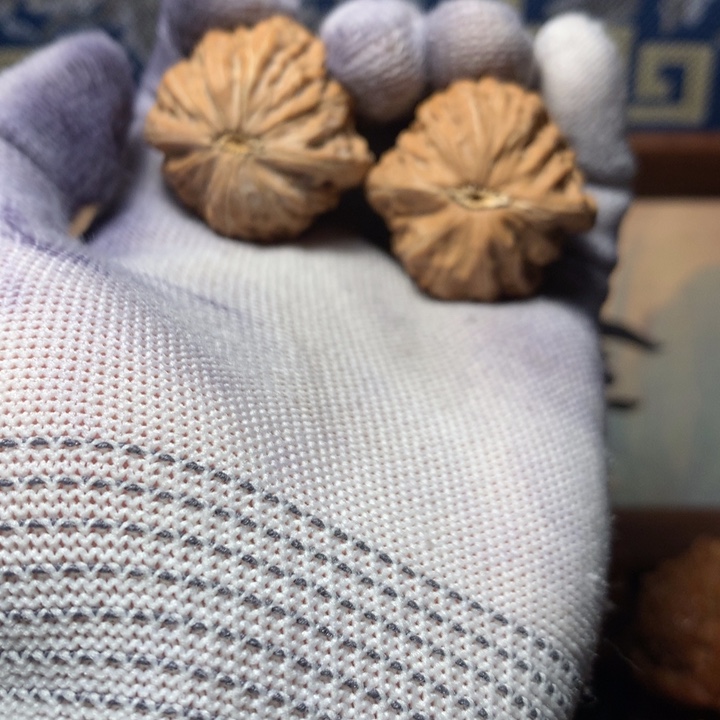 非***方哈哈哈哈哈哈哈哈哈哈