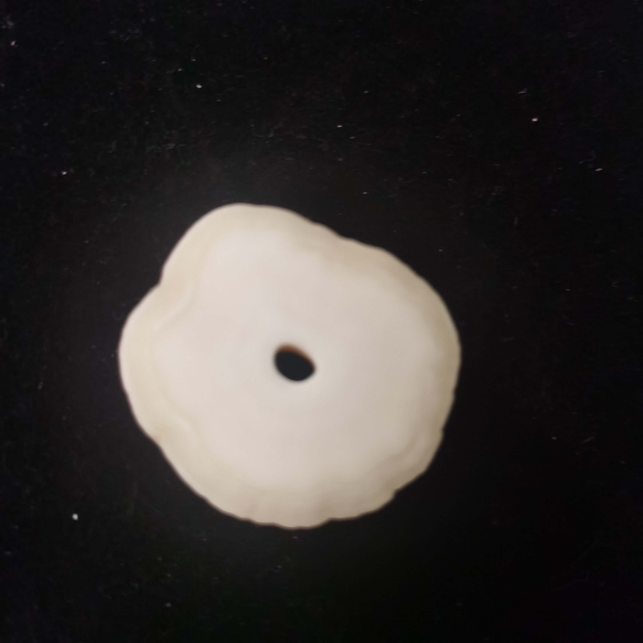 橄榄核饼子约17.8克YF86