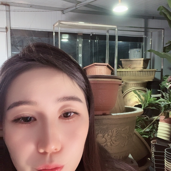 圆40口径花盆四个