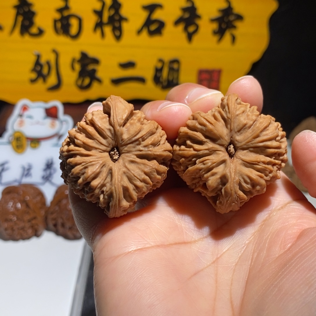 火***箭大叶紫檀（黑酸枝木类）