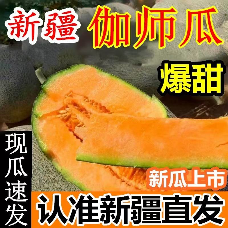 【顺丰京东发货】正宗新疆头茬伽师瓜哈密瓜之王皮薄肉厚清脆香甜