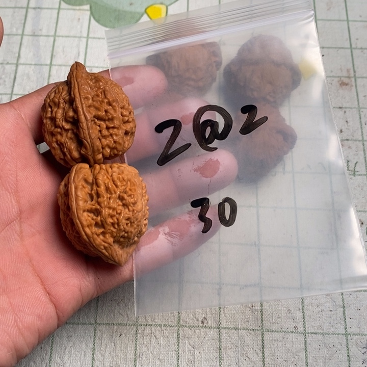 Z***Z文玩核桃把件核桃