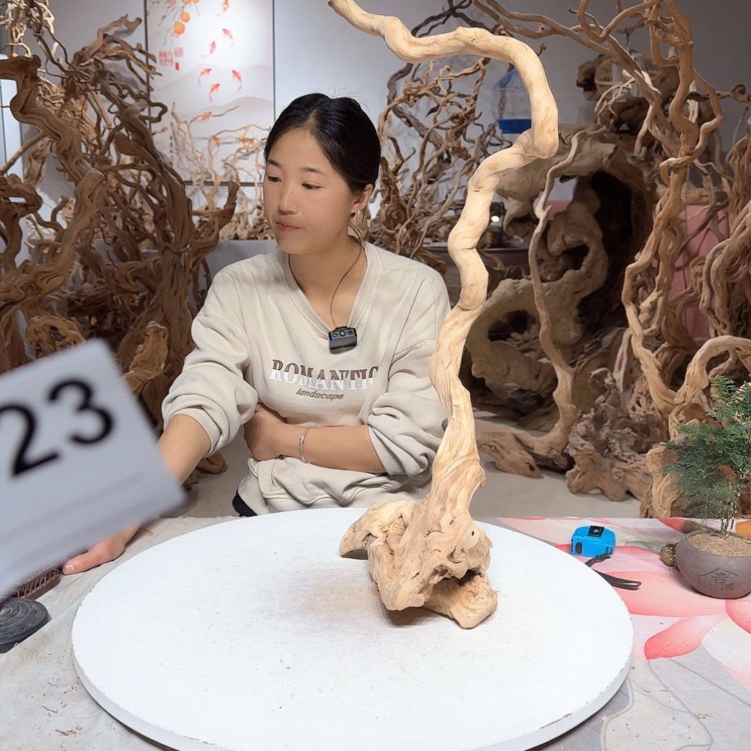 风车木（黑檀木）d****.