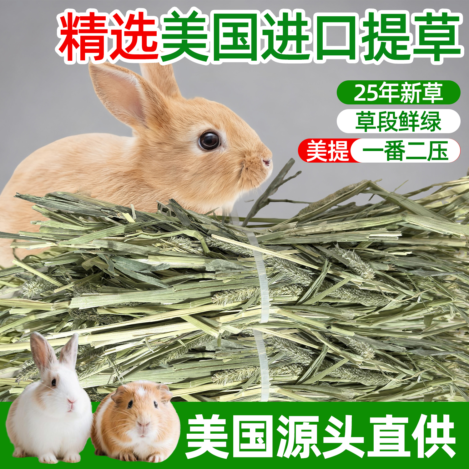 提摩西草美提一番进口干草兔子龙猫荷兰猪晒干牧草磨牙食用草饲料