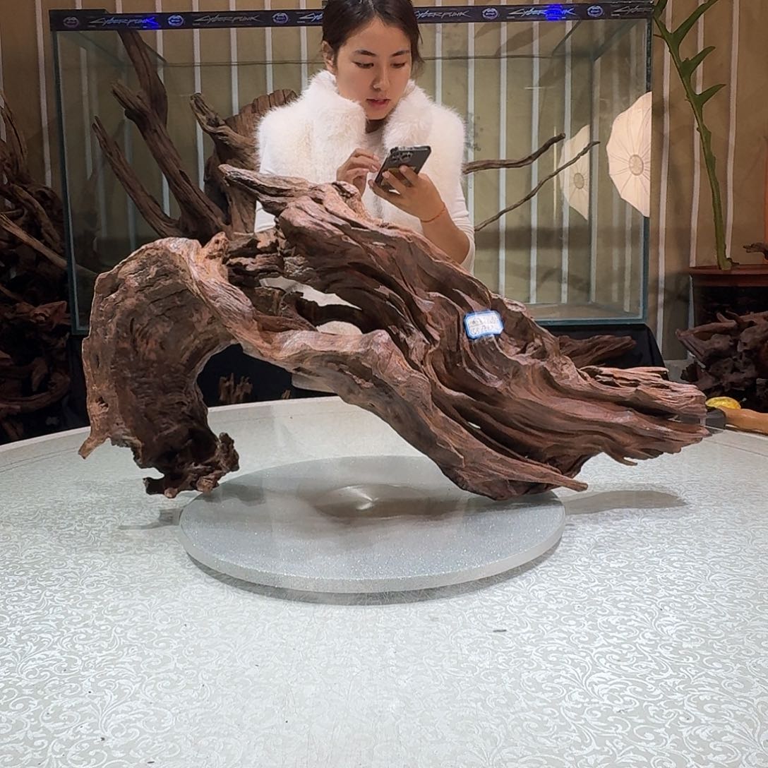 一物一拍鱼缸造景