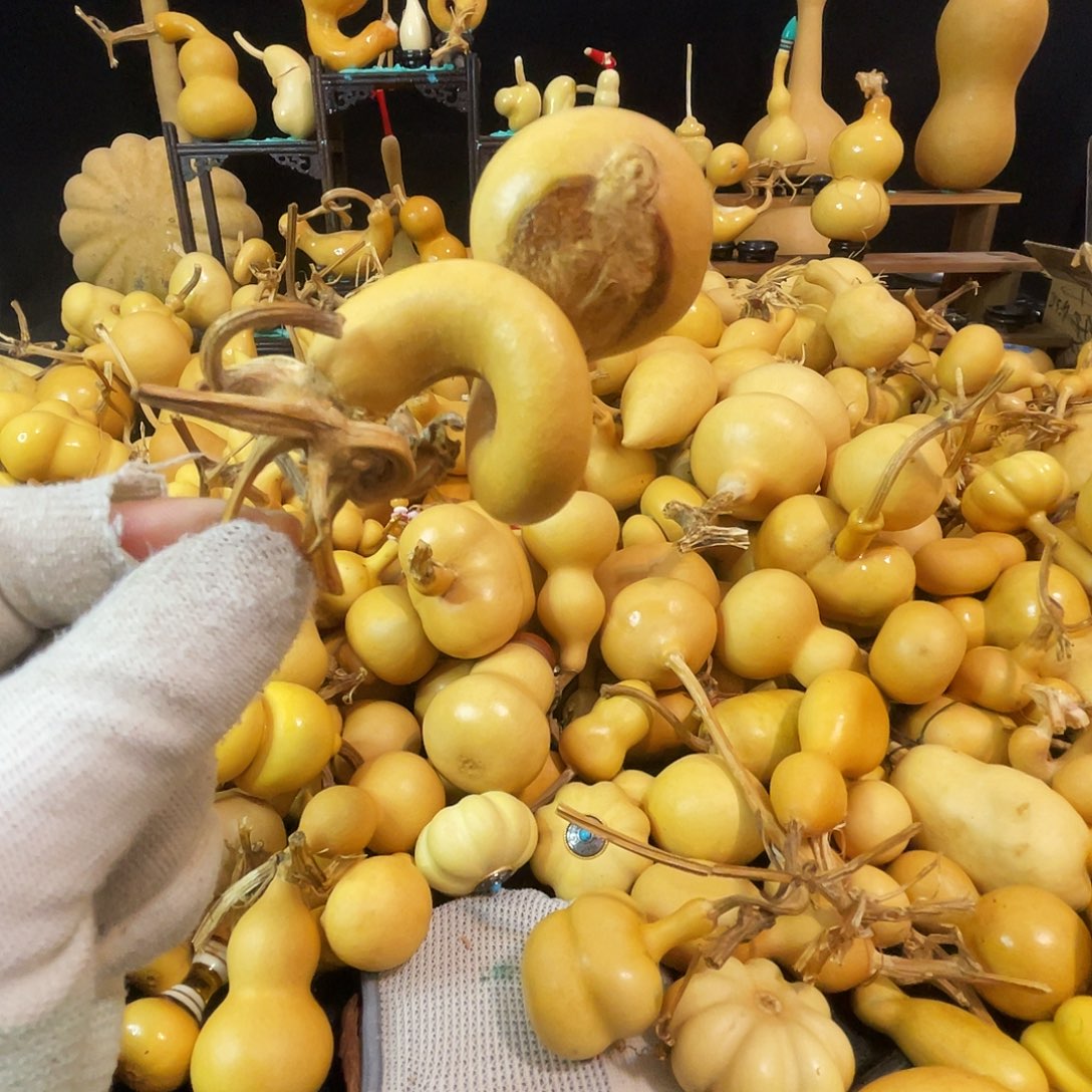 b***d666666666666666666