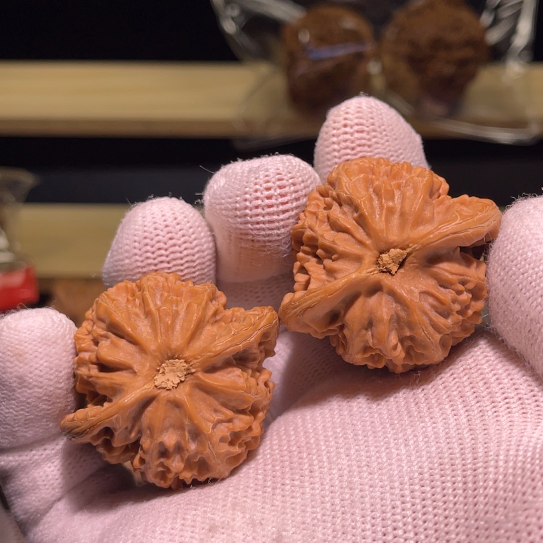 展***堂核桃手串/手链39邢台老树灯