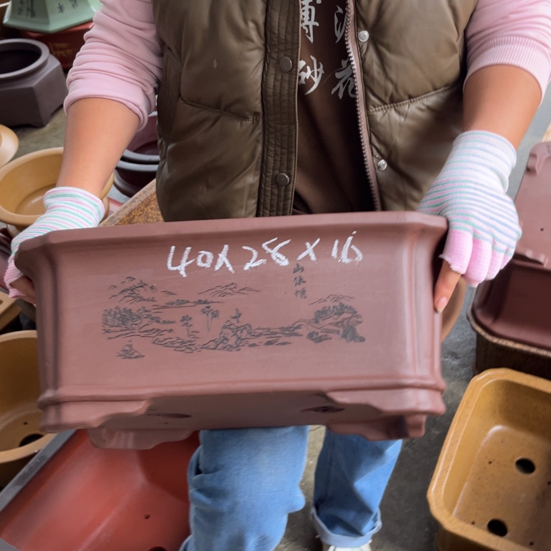 紫砂花盆盆景艺术