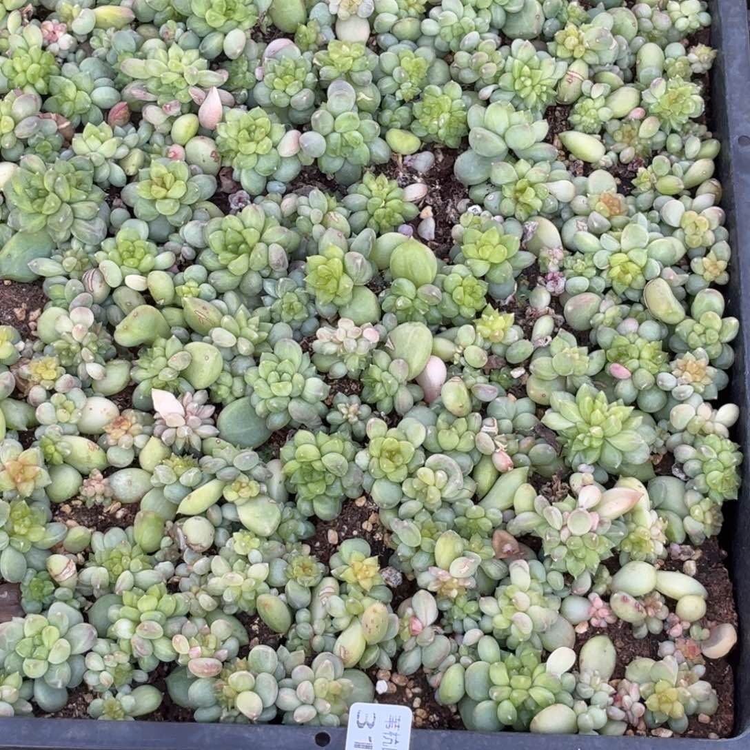 钰***宝312来啦打脸了啊我来看你