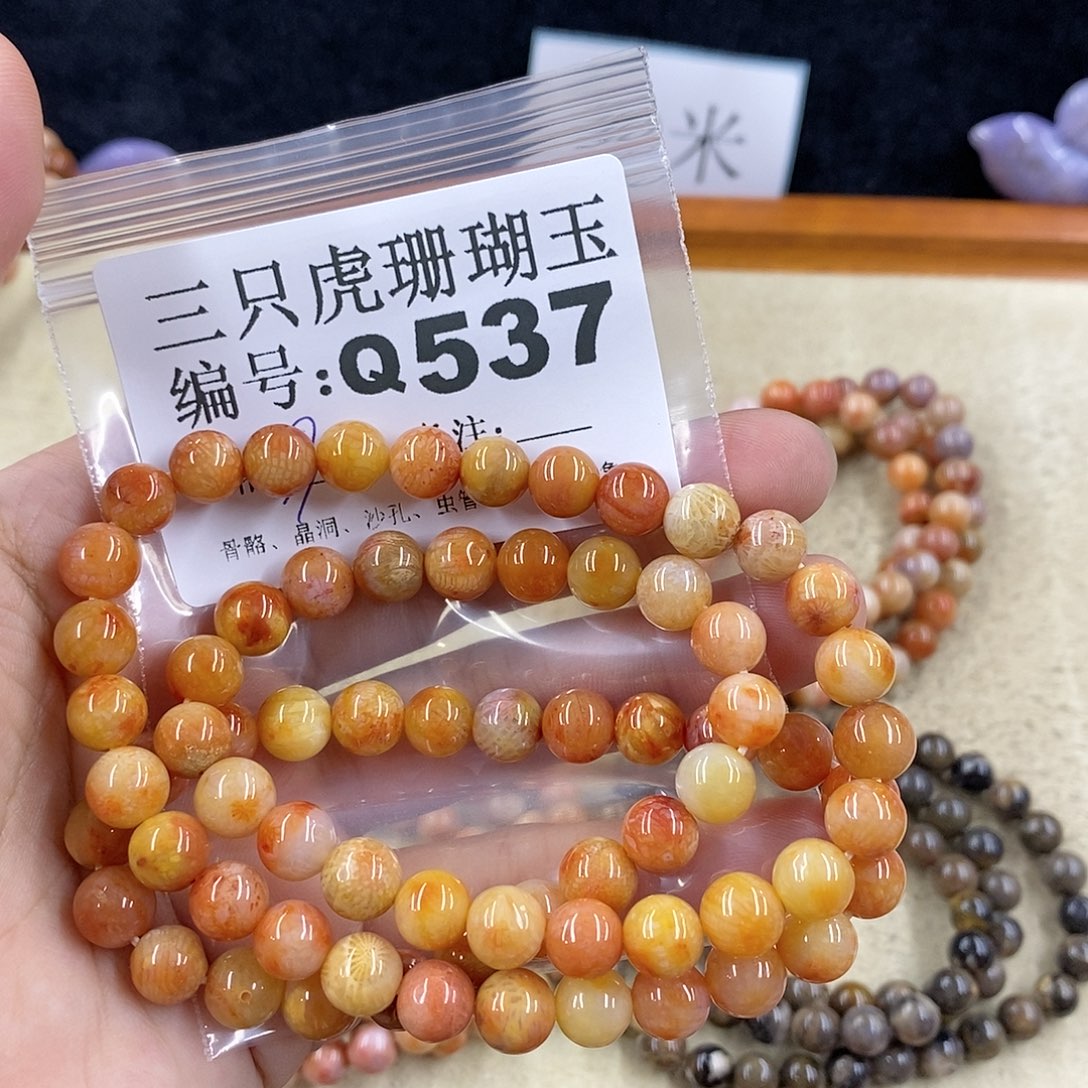 硅化珊瑚（珊瑚玉）1未镶嵌欢*