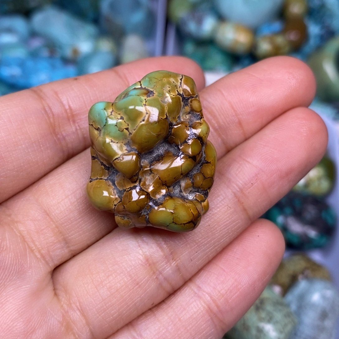 绿松石未镶嵌颈饰