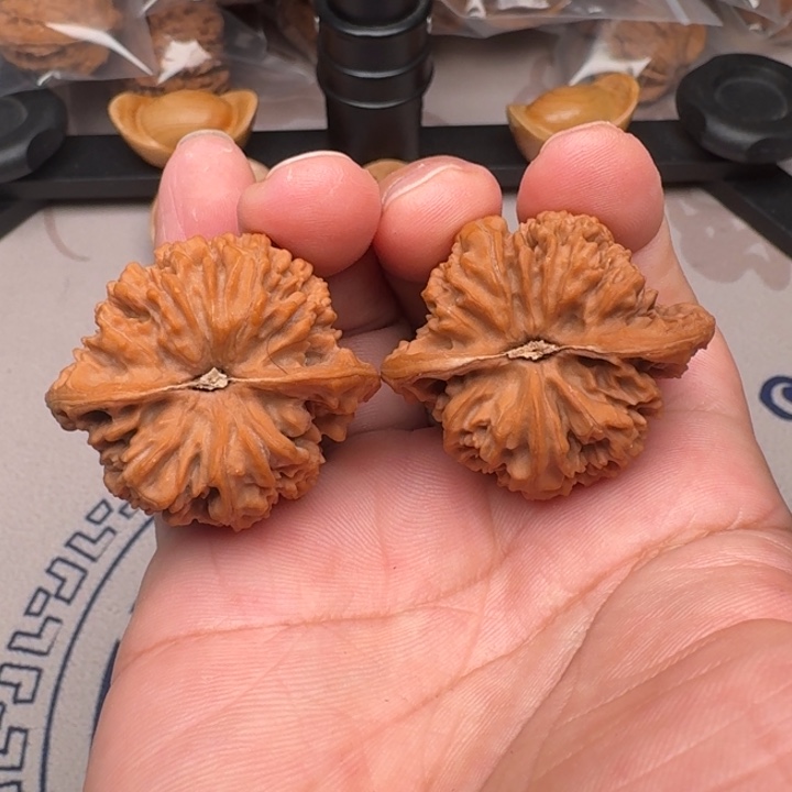 桃核把件山地满天星41尺31