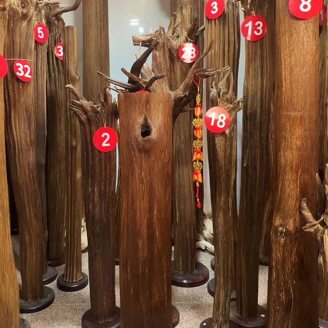 快***子沉香摆件沉香原料