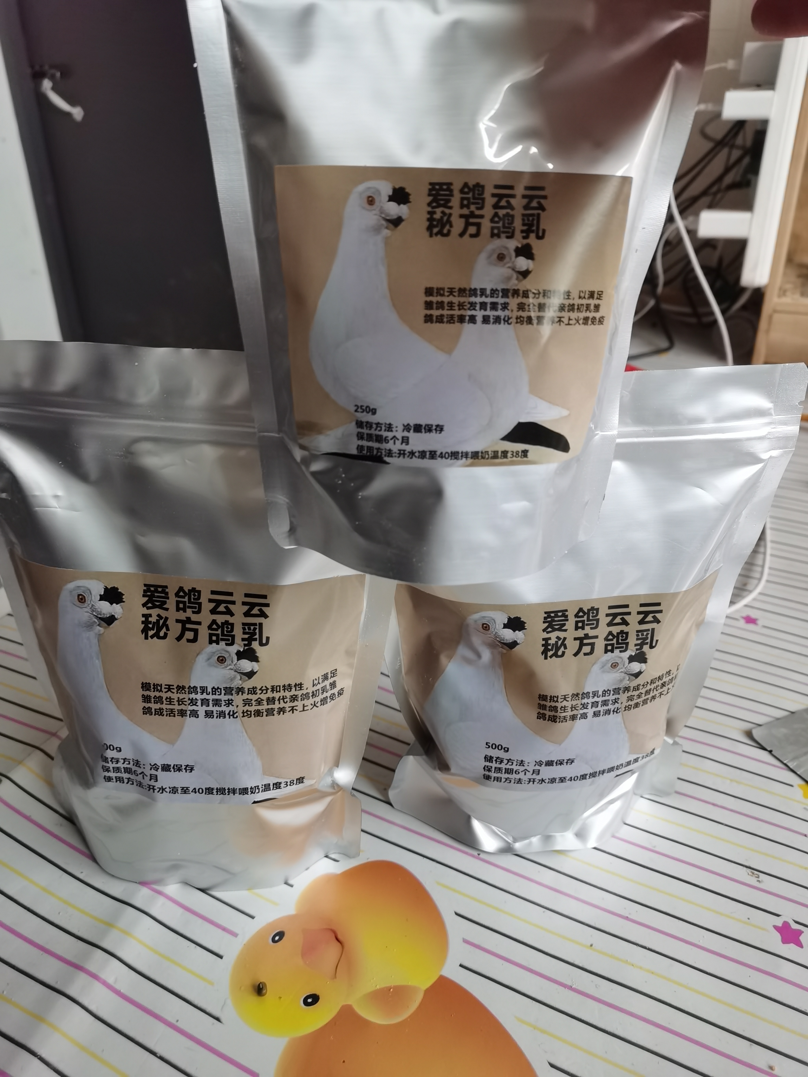 观赏 鸽子的鸽乳共二斤半