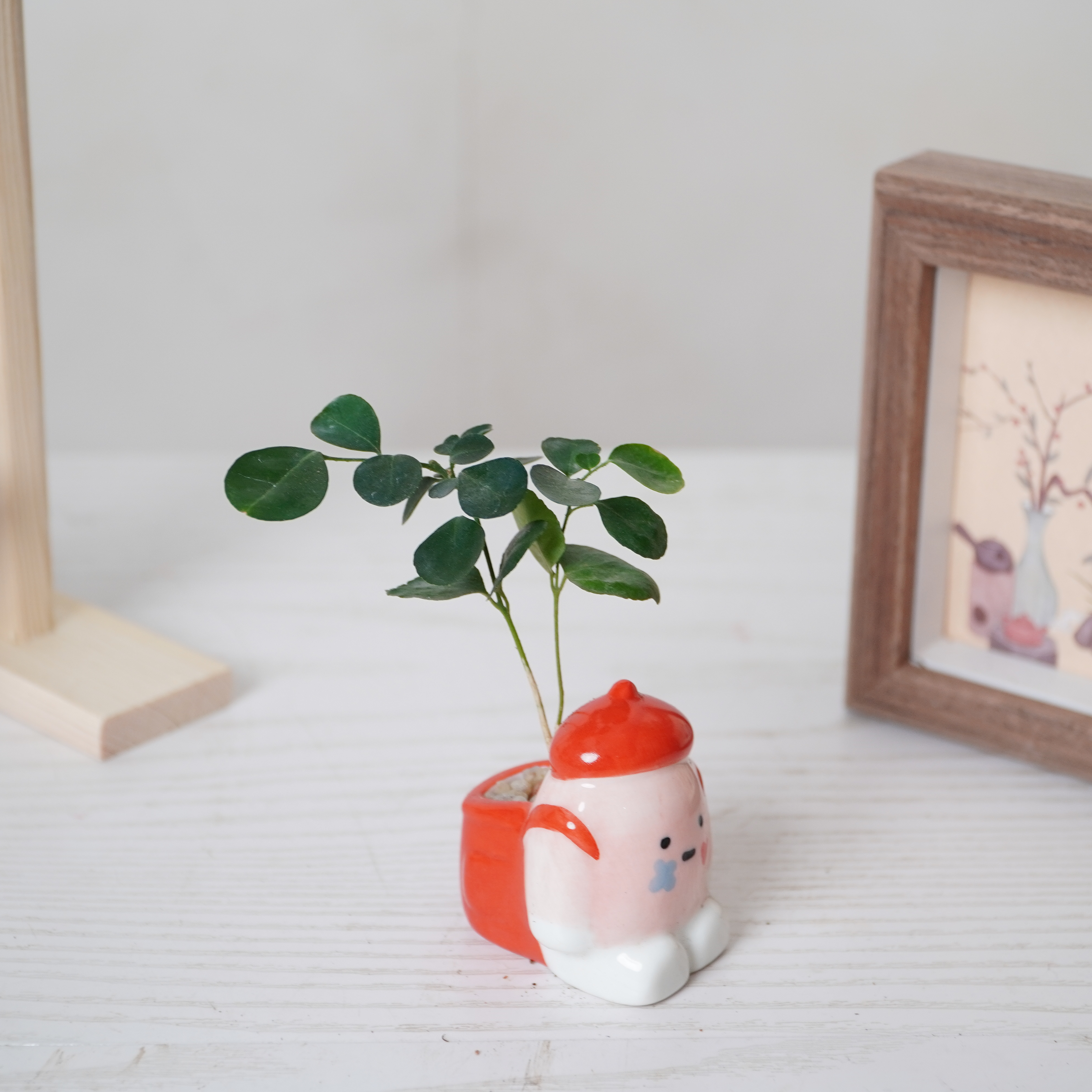 九里香趣味卡通小人陶瓷摆件绿植盆栽