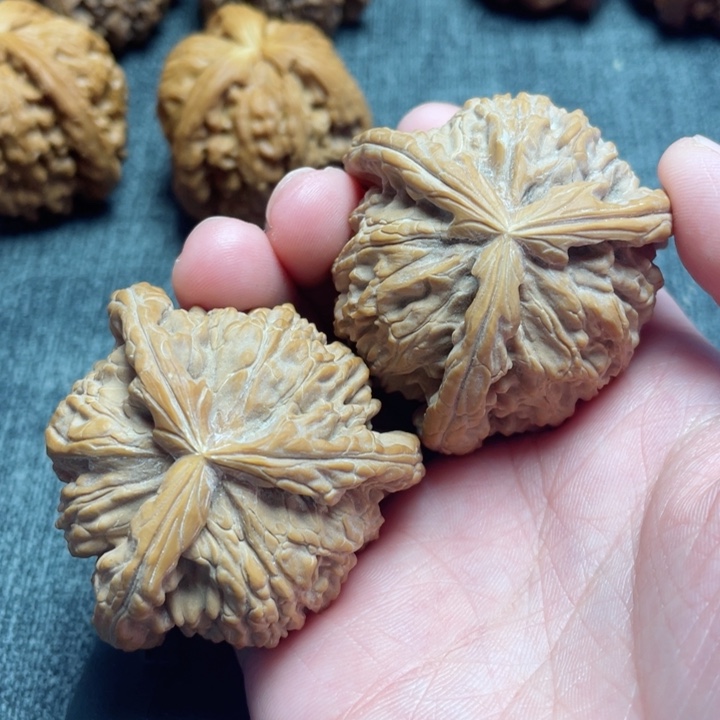 工艺三棱白狮子三棱