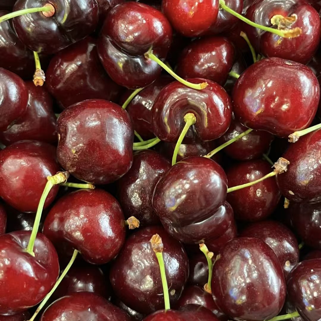 拉宾斯3J车厘子500克海运