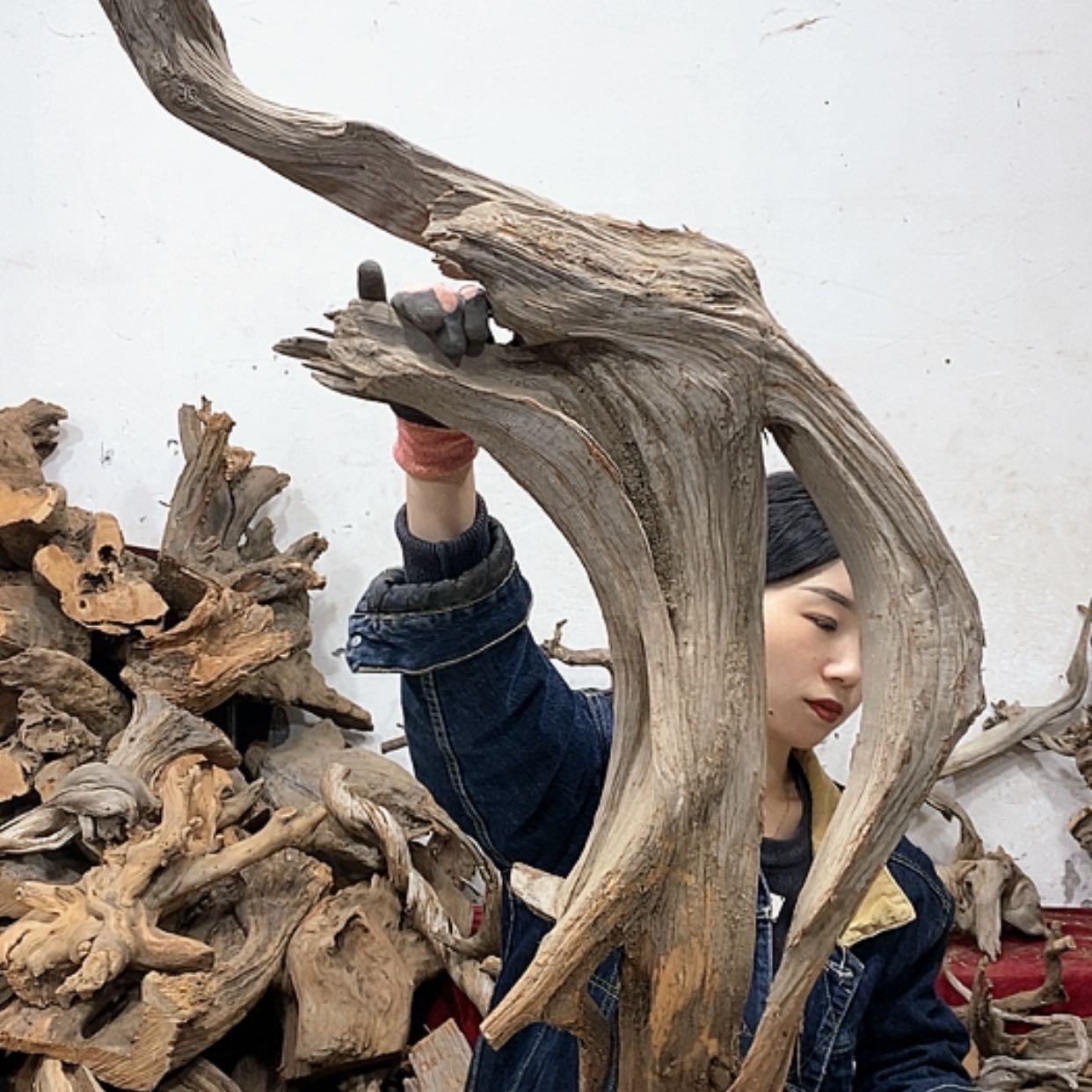 【闪购商品】柏木小*我们都是好孩子