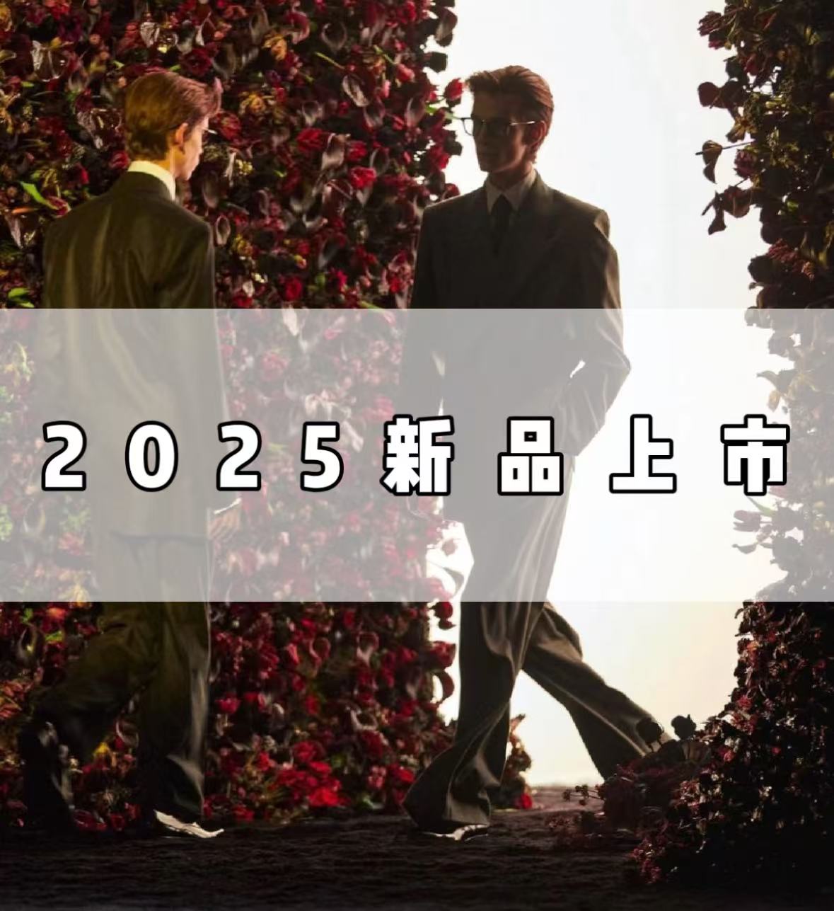 D208-【丹】-2025年新款高端轻奢时尚男外套