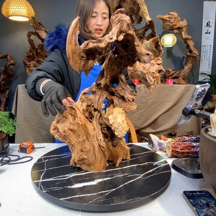 木天****p草木堂根艺摆件242