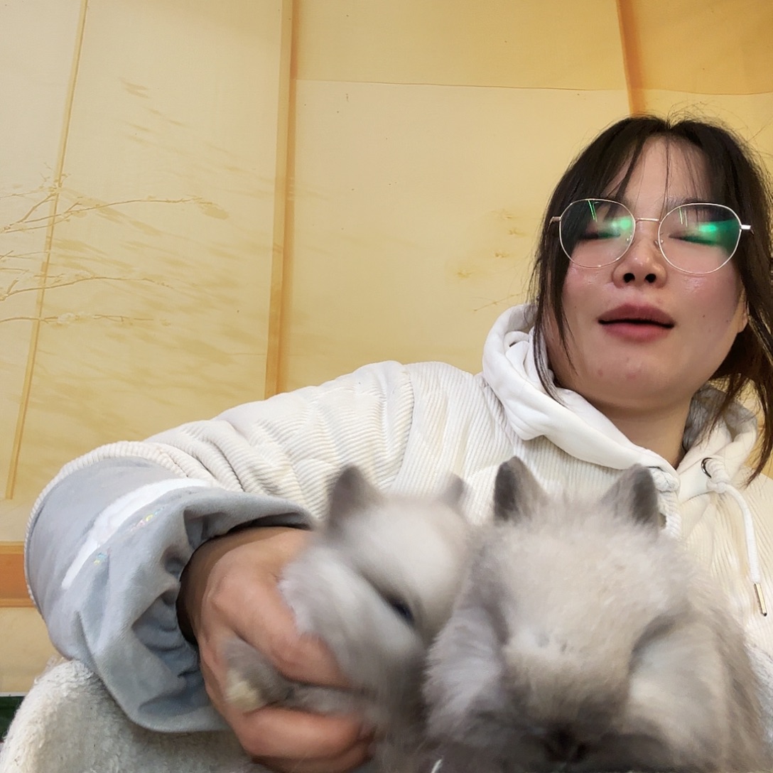 来***你侏儒兔兔兔兔侏儒兔兔兔兔