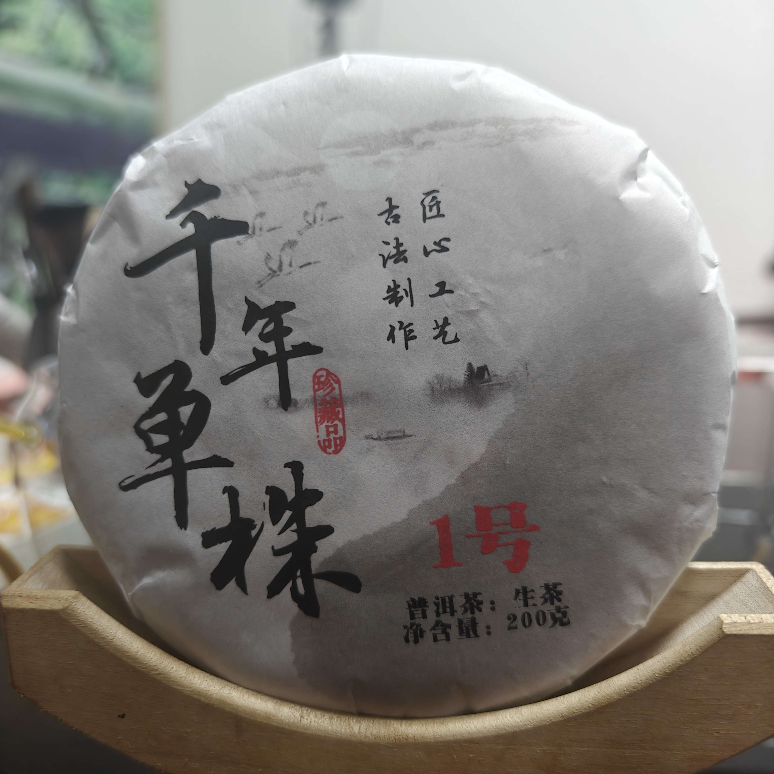 2025年世界古茶基因库，白莺山的千年单株，高香甜野柔顺滑非常好喝