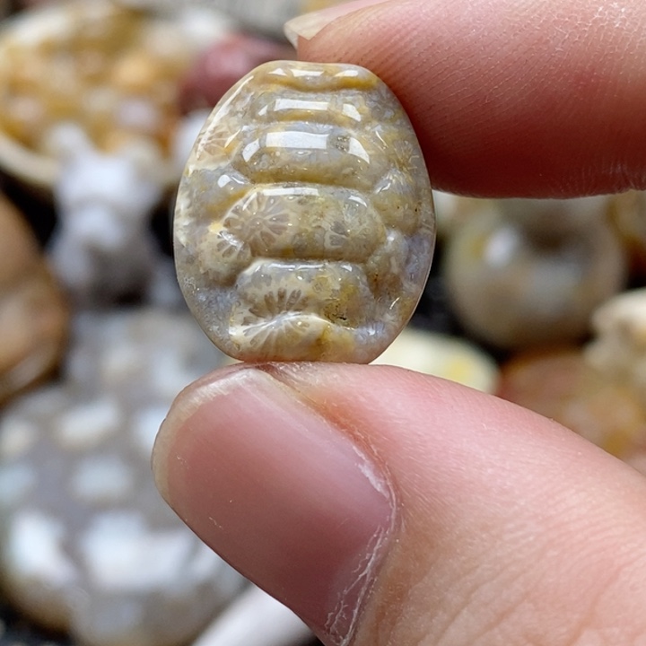 硅化珊瑚（珊瑚玉）颈饰未镶嵌通孔龟壳