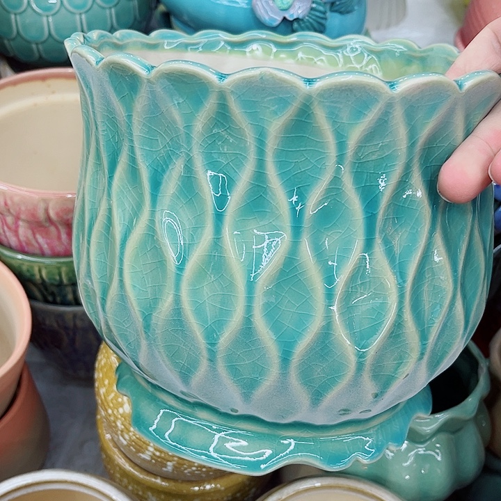 多肉植物陶瓷花盆