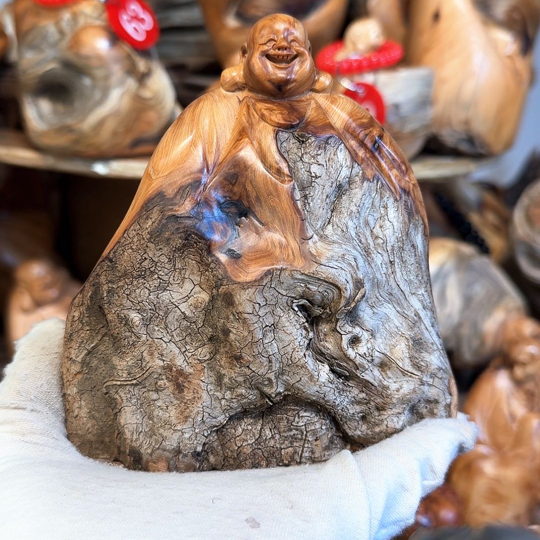 柏木（崖柏）6666666