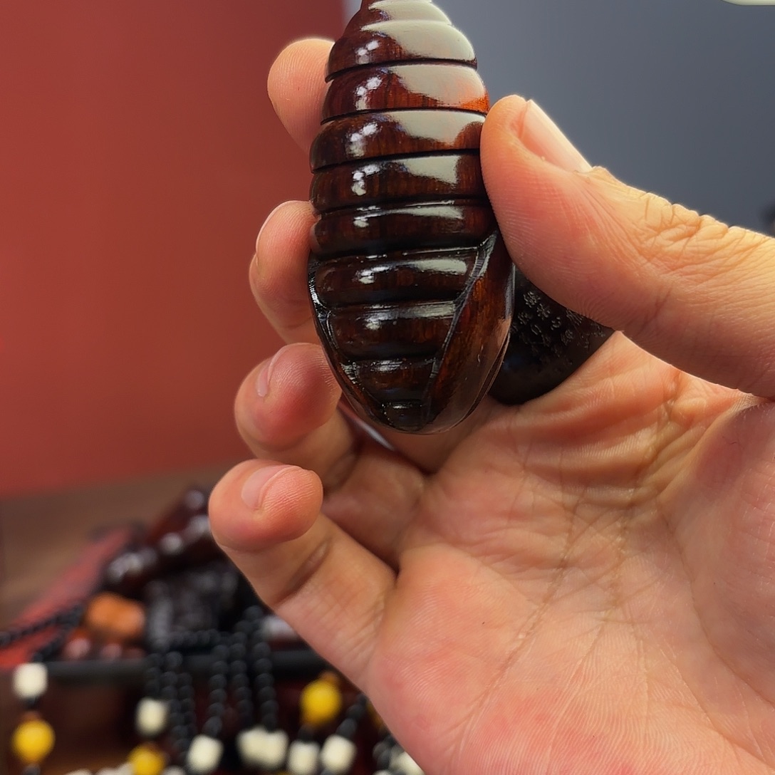 檀香紫檀（小叶紫檀）蛹