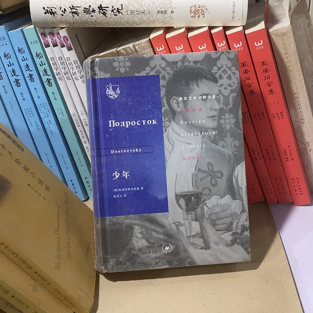 少年陀思妥耶夫斯基 