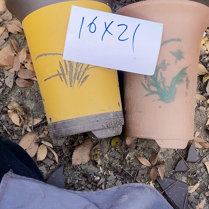 花盆紫砂111111111111