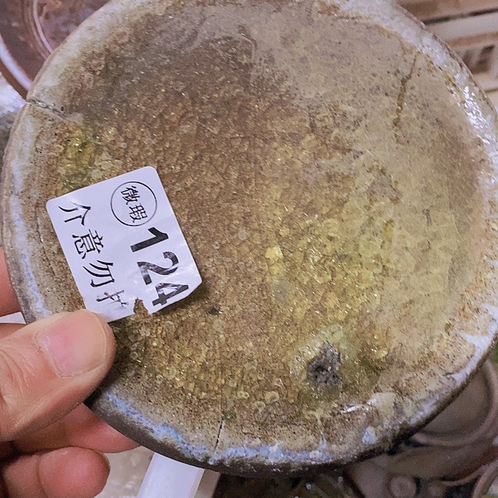 紫砂茶杯柴烧纯手工124