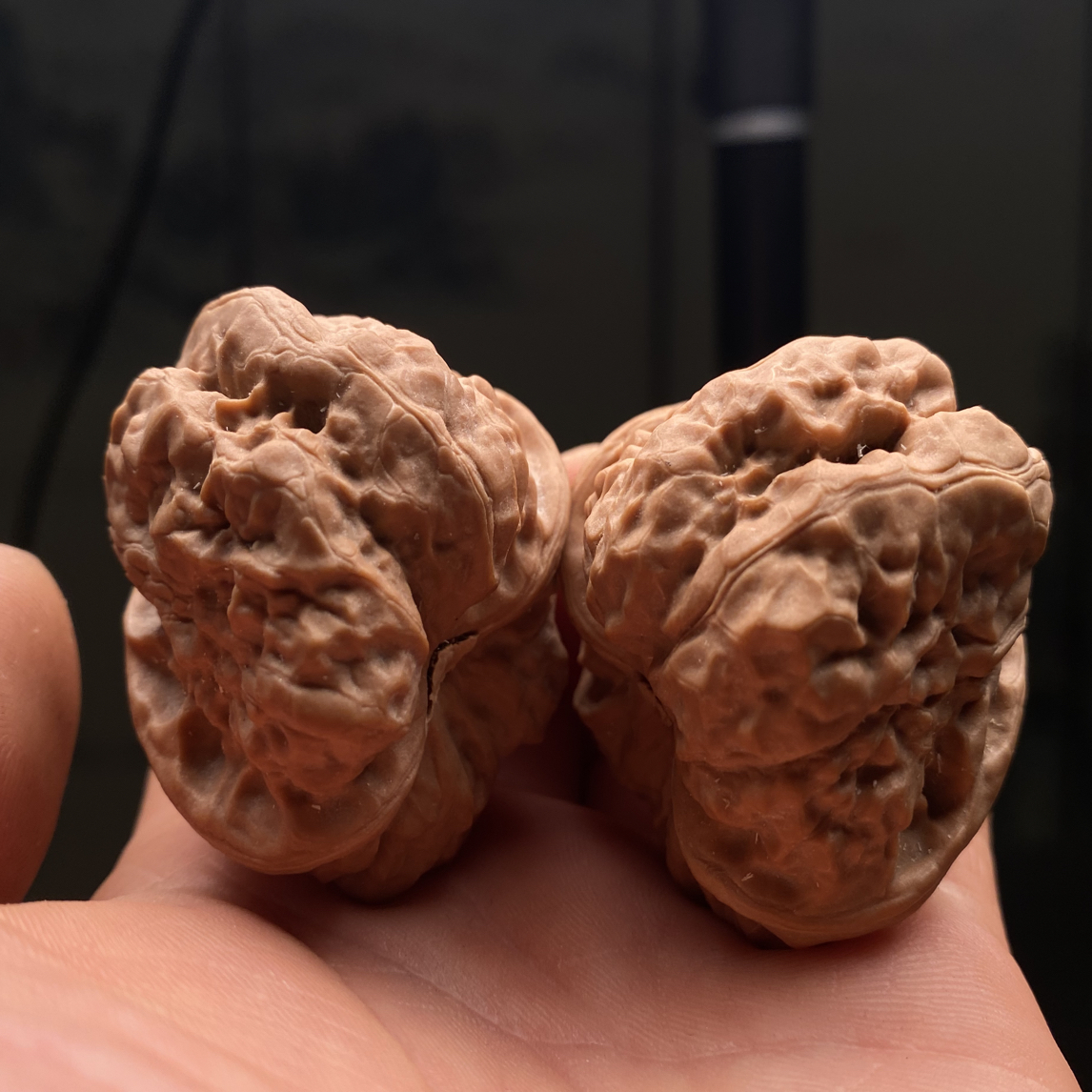 编号25119，边41肚43！延庆一代蛤蟆头，一字开，满身鱼子纹！下拉详情