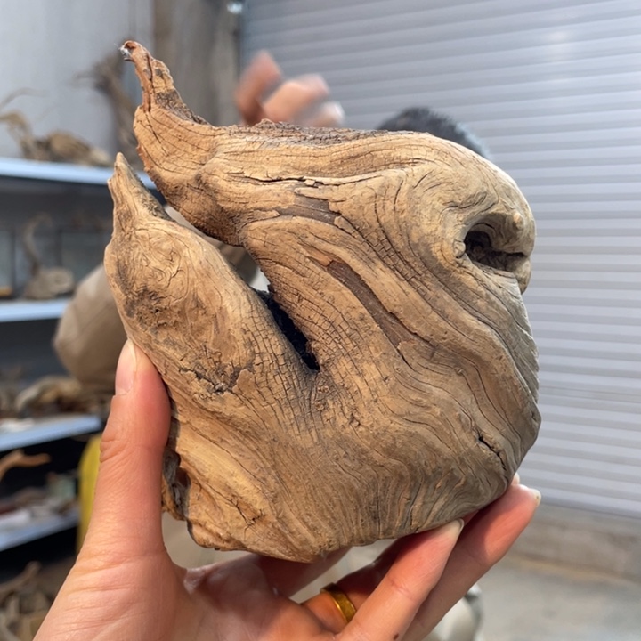 胡*我们都是好孩子呀