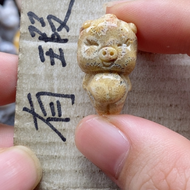 硅化珊瑚（珊瑚玉）颈饰未镶嵌小吊坠