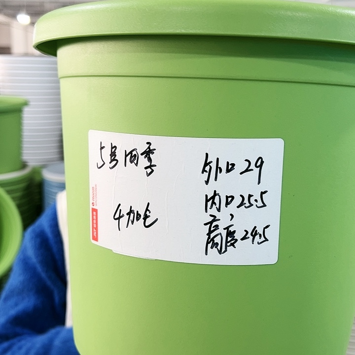 特价5号四季口29高24.5果绿色5个无托