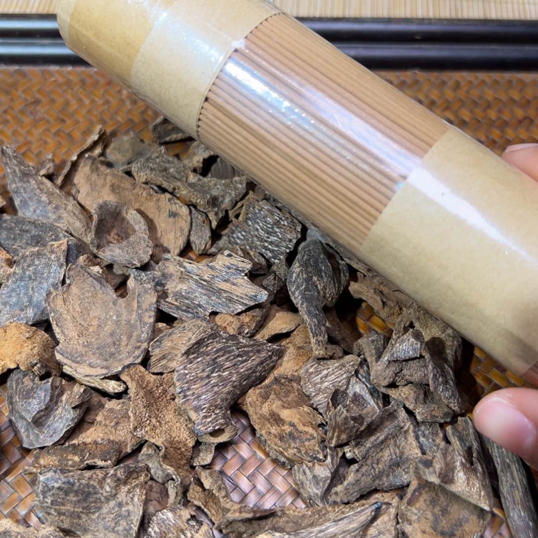 海南尖峰岭虫漏11克重的一份