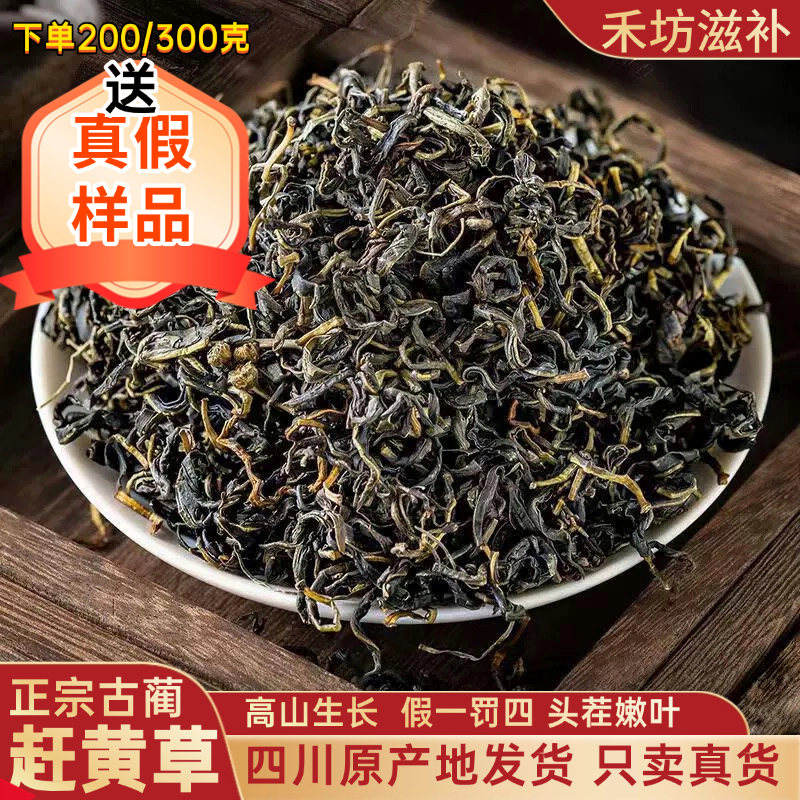 【正品】正宗四川赶黄草茶干货头茬无提取干货 煮水泡水喝搭决明子