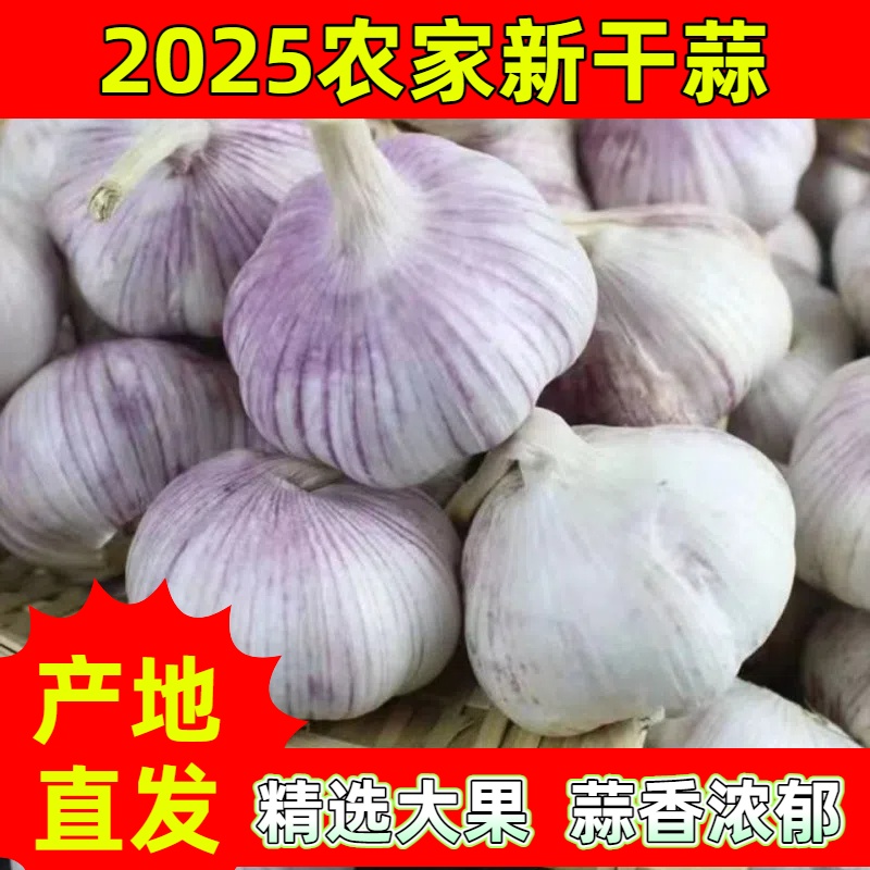 【强烈推荐】干大蒜5斤（特大果）紫白皮大蒜杞县大蒜大蒜头农家大蒜