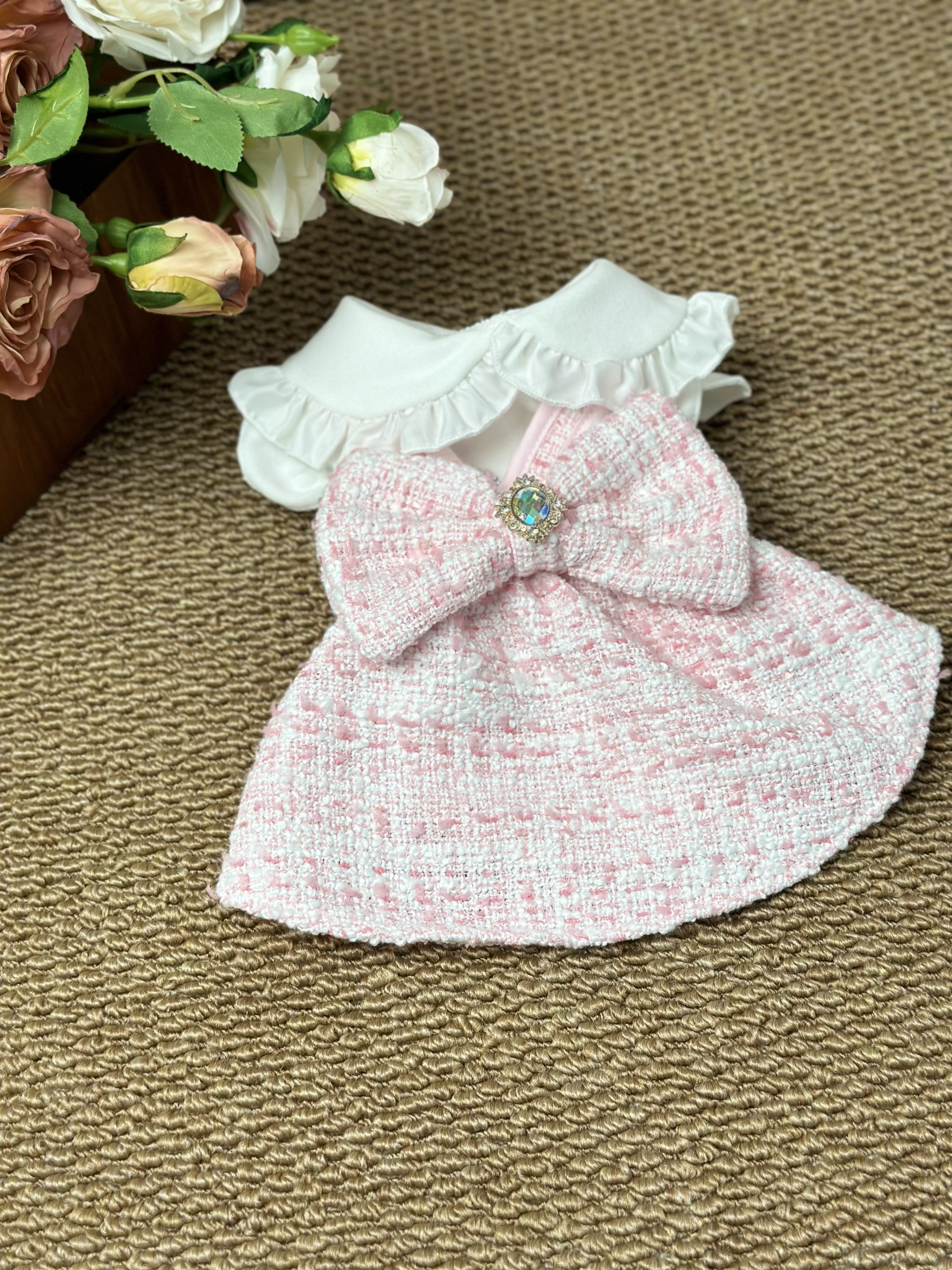 【Twelve宠物服饰集合店】宠物服饰直播间过款no退no换
