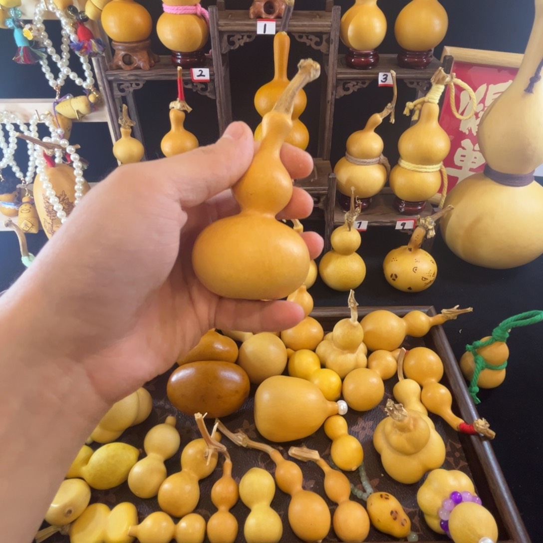 我****欢迎大家关注我们