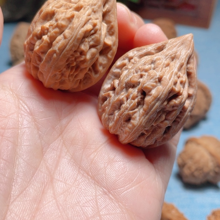 起31尺寸瓷瓶鸭嘴骨质好