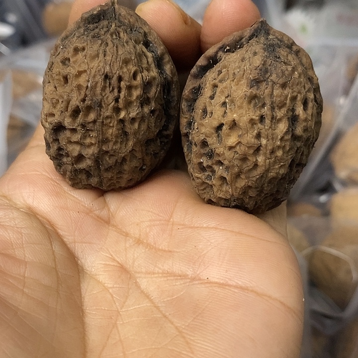 核桃云南铁核桃基地31