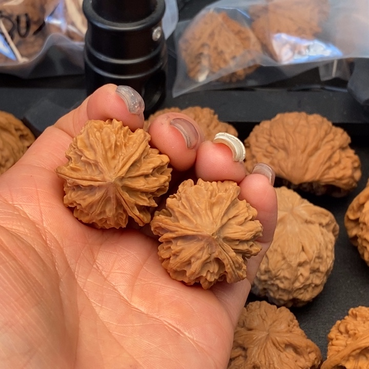 筑***趣文玩核桃把件龙门凹底