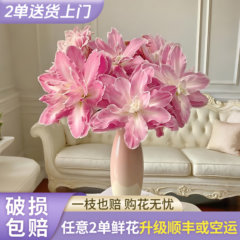 【源头优选】莲花仙子重瓣香水百合花水养插花用云南直发鲜花