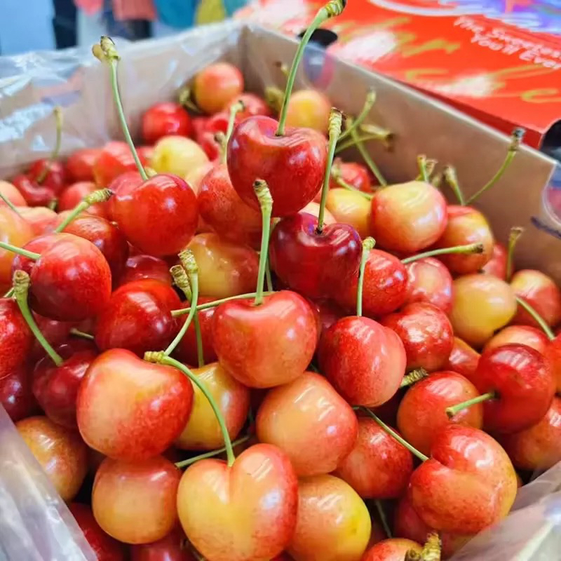 【小蜜蜂金车3/4J】海运智利RAINIER新鲜2-4.4斤应季水果内附果径卡