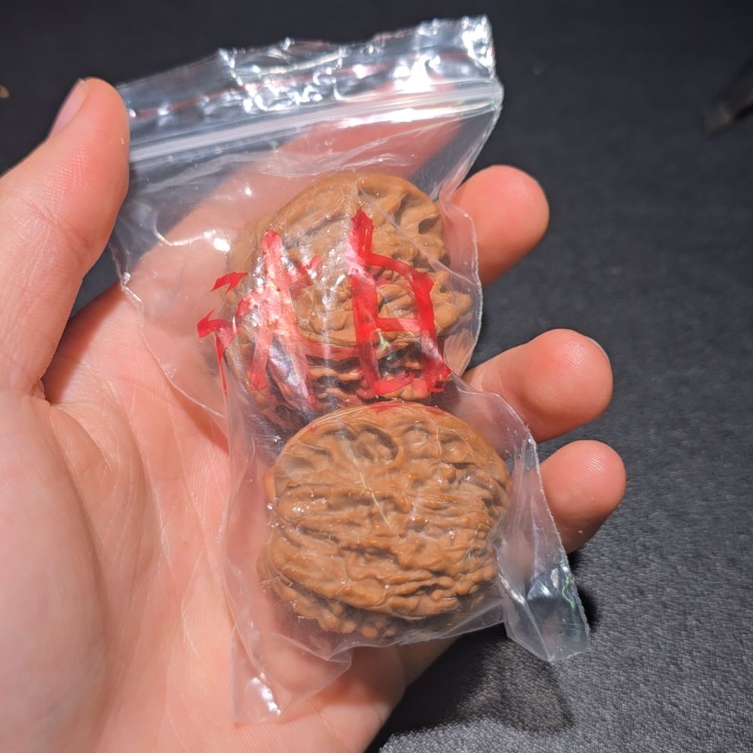 核桃哈哈哈哈哈哈